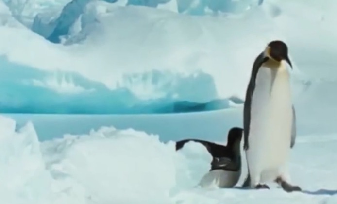 Best of Documentary Films collection